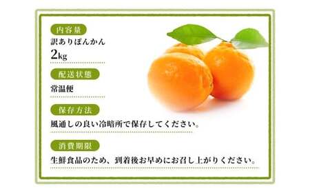 【訳あり】手選別 ぽんかん 約2kg 和歌山県産 2S~2Lサイズ混合※2026年1月上旬~2月上旬頃に順次発送【mrmt013】