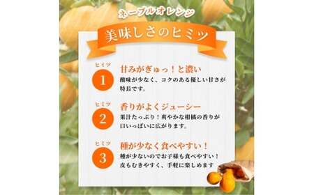 【ご家庭用】手選別 ネーブルオレンジ 約6kg 和歌山県産 2S~2Lサイズ混合※2026年1月上旬~2月中旬頃に順次発送【mrmt034】