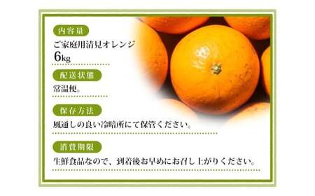 【ご家庭用】手選別 清見オレンジ 約6kg 和歌山県産 2S~2Lサイズ混合※2026年2月上旬~5月中旬頃に順次発送【mrmt038A】