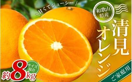 【ご家庭用】手選別 清見オレンジ 約8kg 和歌山県産 2S~2Lサイズ混合※2026年2月上旬～5月中旬頃に順次発送【mrmt048】
