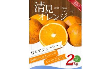 【訳あり】手選別 清見オレンジ 約2kg 和歌山県産 2S~2Lサイズ混合※2026年2月上旬～5月中旬頃に順次発送【mrmt023A】