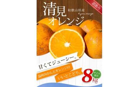 【訳あり】手選別 清見オレンジ 約8kg 和歌山県産 2S~2Lサイズ混合※2026年2月上旬～5月中旬頃に順次発送【mrmt049】