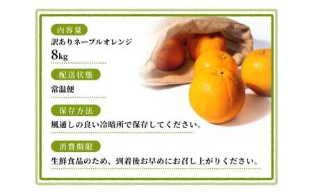 【訳あり】手選別 ネーブルオレンジ 約8kg 和歌山県産 2S~2Lサイズ混合※2026年1月上旬～2月中旬頃に順次発送【mrmt047】