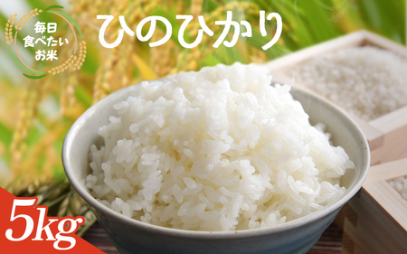 米 新米 和歌山県産 ひのひかり 5kg(2025年産) 【agy040】