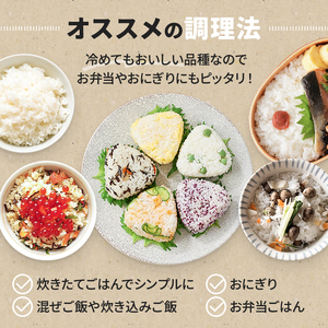 米 新米 和歌山県産 ひのひかり 5kg(2025年産) 【agy040】