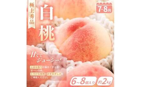 フルーツ フルーツ定期便 桃 シャインマスカット いちご みかん 全4回【kgr038】