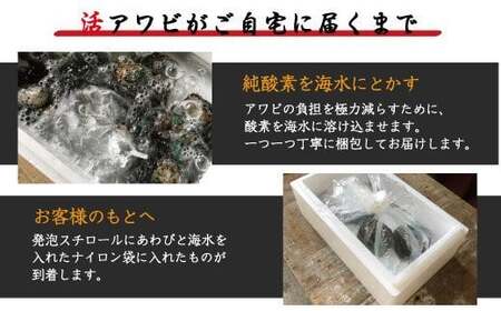 極上！やわコリ食感紀州の蝦夷アワビ【19～20個入】  ※北海道・沖縄・離島への配送不可 / 鮑 アワビ あわび 人気 活アワビ 冷蔵 【riz120】