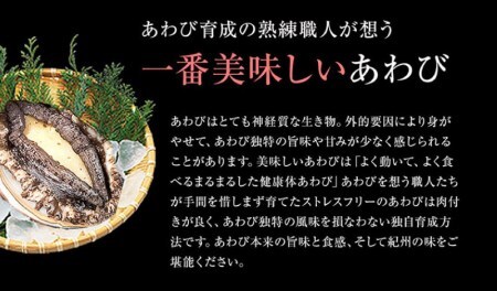 鮑 アワビ あわび 人気 ふるさと納税 冷凍  和歌山産煮アワビ 姿煮 【紀州湯浅金山寺味噌使用】 160g【riz202f】