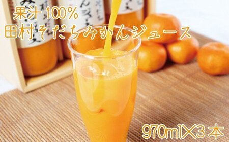 果物 くだもの フルーツ ジュース 飲料 ドリンク  / 果汁100% 田村そだちみかんジュース 970ml×3本【uot203】