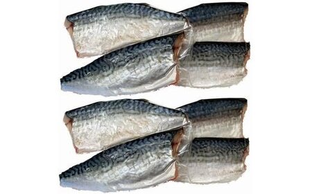 塩さばフィレ14枚入(真空パック入)/サバ 塩サバ 冷凍 切り身 【uot403B-1】