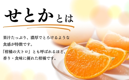 ジューシー柑橘　せとか　約3kg※2025年2月末頃～2025年3月中旬頃発送(お届け日指定不可)※沖縄・離島配送不可【uot506】