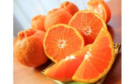   完熟紀州デコ(不知火) 約5kg　※2026年2月下旬頃〜2026年3月中旬頃に順次発送予定(お届け日指定不可)【uot707A】