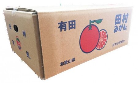 みかん 蜜柑 フルーツ 果物 くだもの / 【先行予約受付　訳あり】田村みかん 10kg サイズお任せ 【2025年11月下旬頃～2026年1月下旬頃に順次発送】【uot717】