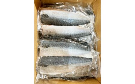  塩さばフィレ24枚入(真空パック入) / サバ 塩サバ 冷凍 切り身 【uot742B-1】