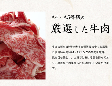 こま切れ 霜降り 赤身 熊野牛 A4 / 熊野牛 A4以上 霜降り 赤身 こま切れ 500g 【uot747】