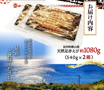 海老 エビ えび クマエビ 足赤 天然 おかず / 紀州和歌山産天然足赤えび540g×2箱（270g×4パック）化粧箱入 ※2025年11月末頃〜2026年1月下旬頃順次発送予定（お届け日指定不可）【uot773A】