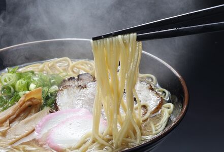 ラーメン 中華そば 中華 拉麺 らーめん とんこつ 醤油 生麺 / 和歌山ラーメン　とんこつ醤油味　2食入×5パックセット【ksw103】