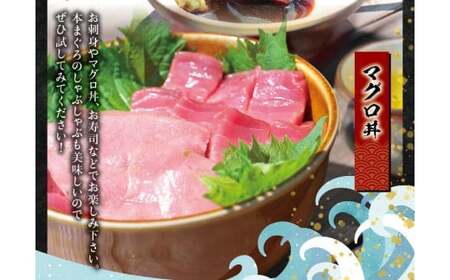 【年内発送】本マグロ（養殖）トロ＆赤身セット 500g 【12月26日～30日に発送】（日付指定不可） / 高級 クロマグロ 中トロ 中とろ まぐろ マグロ 鮪 刺身 赤身 柵 じゃばらまぐろ 本マグロ 本鮪【nks110B-sg】