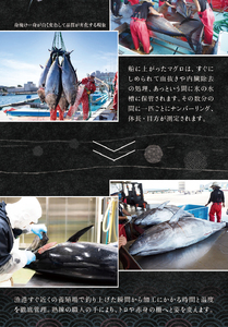  本マグロ （養殖）トロ＆赤身セット 1350g【１ヶ月以内に順次発送】 / 本マグロ 冷凍 まぐろ マグロ 鮪 中トロ 赤身【nks111B】