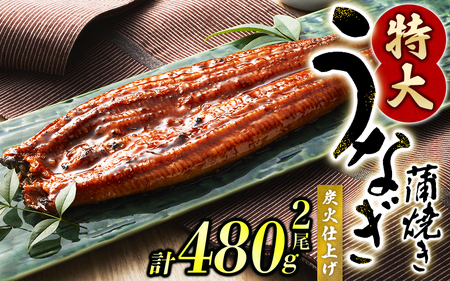 \ 食べ応え抜群!! / 1尾で約240gのビッグサイズ うなぎ蒲焼 2尾 計約480g （タレ・山椒付き）/ 中国産 鰻 うなぎ うなぎの蒲焼 炭火焼き 炭火 【nks700B-y】