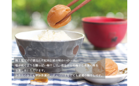 【贈答用】紀州南高梅 食べ比べセット 500g×2　（はちみつ・白干） / 梅干 梅干し 梅 南高梅 人気 大粒【inm900-6B】