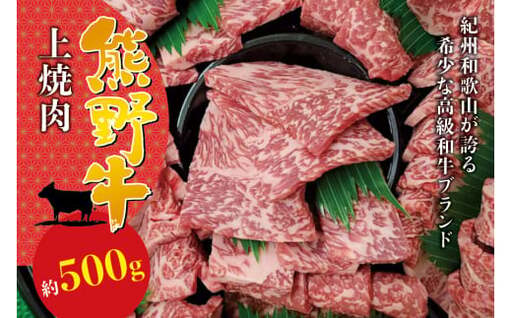 焼肉 牛肉 希少和牛 上焼肉 約500g ＜冷蔵＞【sim111】