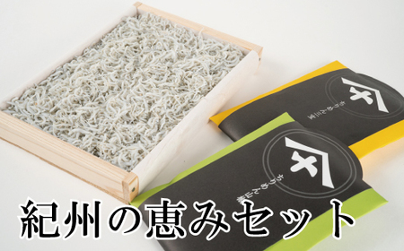シラス 釜揚げしらす 魚貝 魚 さかな / 紀州の恵みセット【mef004-1】
