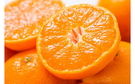 【予約受付】田村みかん 特選ギフト品 10kg【Sサイズ】赤秀 / 紀州和歌山有田郡湯浅町田村地区産 ◆2026年11月下旬～2027年1月中旬頃に順次発送予定(お届け日指定不可)　紀伊国屋文左衛門本舗 / 田村みかん みかん 蜜柑 柑橘 果物 フルーツ 【kmtb304C】