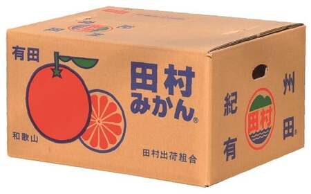 田村みかん みかん 蜜柑 柑橘 果物 フルーツ / 田村みかん 5kg 秀品【小玉サイズ】/紀州和歌山有田郡湯浅町田村地区産 ◆2024年11月下旬～2025年1月下旬頃に発送(お届け日指定不可)　紀伊国屋文左衛門本舗【kmtb306A】