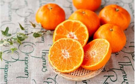 みかん 季節のみかん 5kg 【S~2Lサイズおまかせ】【agy003A】