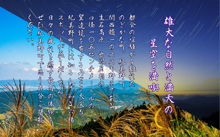 宿泊 宿 民泊 和歌山 紀美野町 / 『北峯山?庵』1名～3名様ご宿泊招待券(かまどdeご飯のオプション付き)【tmi002A】