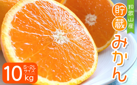 【先行予約】S～2L サイズおまかせ 紀美野町産 貯蔵みかん 10kg【2025年1月中旬～2月下旬に順次発送致します。】【frt007】