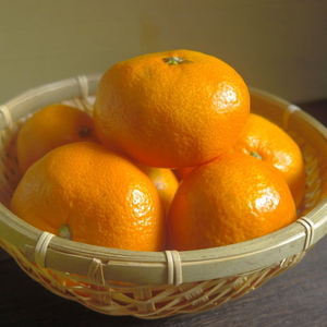 【先行予約】S～2L サイズおまかせ 紀美野町産 貯蔵みかん 10kg【2025年1月中旬～2月下旬に順次発送致します。】【frt007】