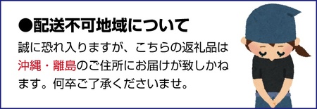 【先行予約】Mサイズ以上のサイズおまかせ 青梅 10kg【2025年6月下旬～7月上旬に順次発送致します。】【frt008A】