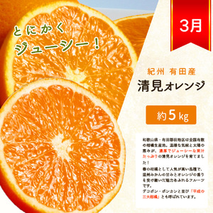 【3か月定期便】人気のみかんを集めた!旬の柑橘定期便【tkb111】