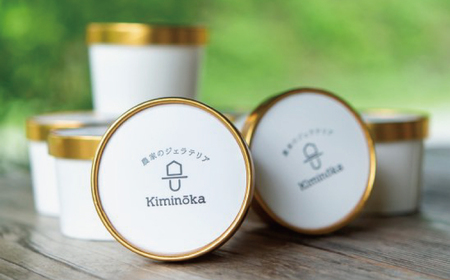 【キミノーカ選りすぐり】ジェラート12個セット【1か月以内に発送】 【kmk002】