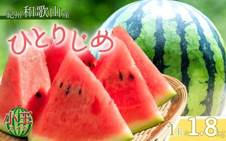紀州和歌山産 小玉スイカ「ひとりじめ」 1玉【2026年6月上旬頃～7月上旬頃に順次発送】【UT85】【Z91087-uot778】