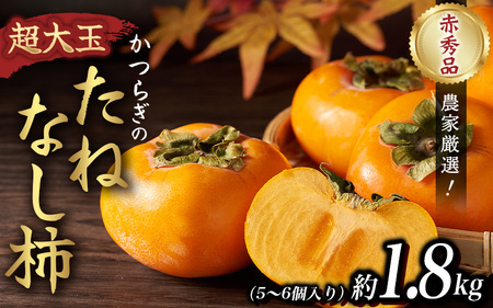柿(種無し) 6個入 (約1.8kg)  秀品大玉【2026年9月下旬から10月下旬頃発送】【BH001-kiy002A】