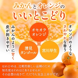 はれひめ(ミカンの希少種) 秀品 約5kg(25個~30個入)【2025年12月中旬頃から2026年2月初旬頃発送予定】【BK003-kgr004A】