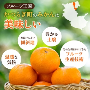 はれひめ(ミカンの希少種) 秀品 約5kg(25個~30個入)【2025年12月中旬頃から2026年2月初旬頃発送予定】【BK003-kgr004A】