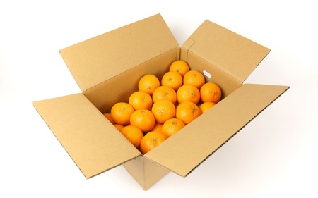 はれひめ(ミカンの希少種) 秀品 約5kg(25個~30個入)【2025年12月中旬頃から2026年2月初旬頃発送予定】【BK003-kgr004A】