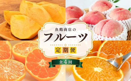 魚鶴商店のフルーツ定期便（みかん・オレンジ・桃・柿）【発送月固定 定期便 全4回】【Z91116-tkb】