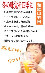 有田みかん果汁100％ジュース「味皇」720ml×2【UT01】【順次発送】【Z91122-uot009】