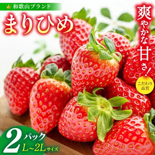 まりひめ イチゴ L～２L 12粒～15粒×2パック【2026年1月中旬～3月中旬頃に順次発送】【BK007-kgr007A】