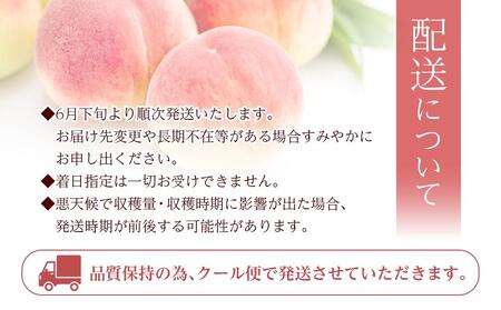 和歌山県産 旬 の 桃 5～6玉入り 秀品【2025年6月下旬から8月上旬頃発送】【MG33】