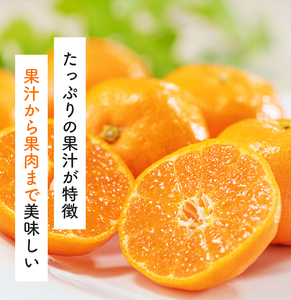 【訳あり・ご家庭用】完熟有田みかん  サイズ混合(2S～2L)　約3.2kg(3kg+200g)【2026年9月中旬～10月上旬頃に順次発送予定】【AA90132-ard194E-09】