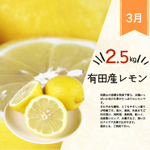 【1・3・7月 全3回】紀州和歌山産旬のフルーツセット（あんぽ柿・レモン・桃） 定期便 【魚鶴商店】【UT65】【Z91134-tkb391】