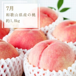 【7・8・10月 全3回】紀州和歌山産旬のフルーツセット（桃・シャインマスカット・ひらたねなし柿）定期便 【魚鶴商店】【UT66】【Z91135-tkb370】