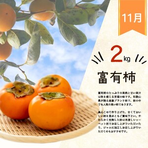 【2~3・7・11月 全3回】紀州和歌山産旬のフルーツセット(いちご・桃・富有柿)定期便 【魚鶴商店】【UT69】【Z91138-tkb373】