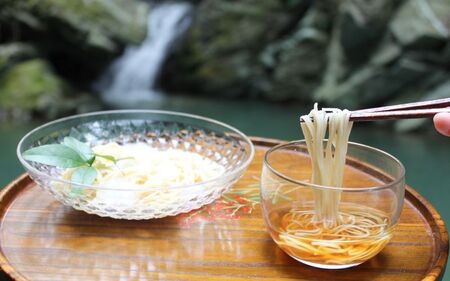 そうめん 紀北 かつらぎ特産 たねなし柿そうめん【入金確認後、１週間以内を目途に発送】【BQ001-yrrf001】